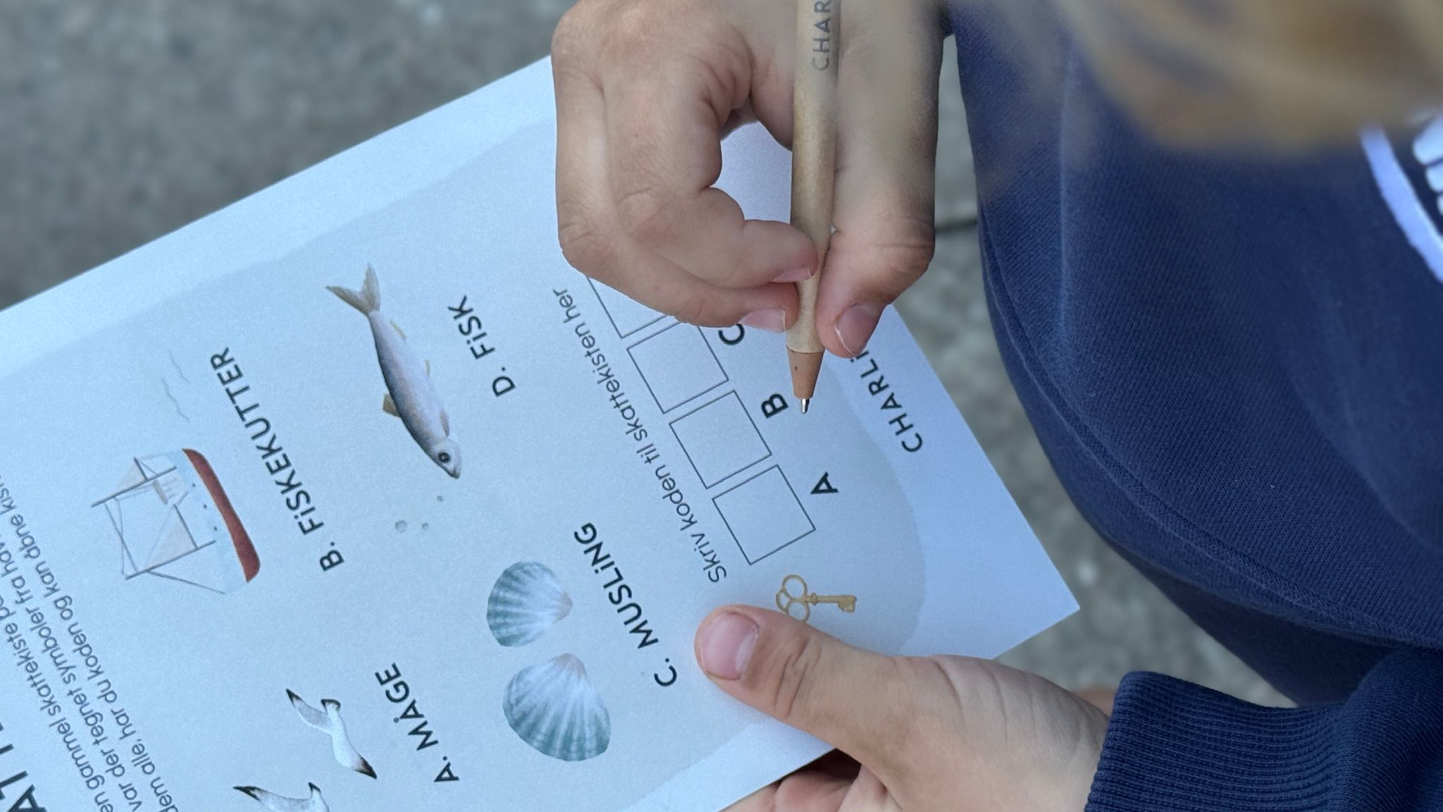 Gratis skattejagt på Nexø havn 🗺️📍🗝️