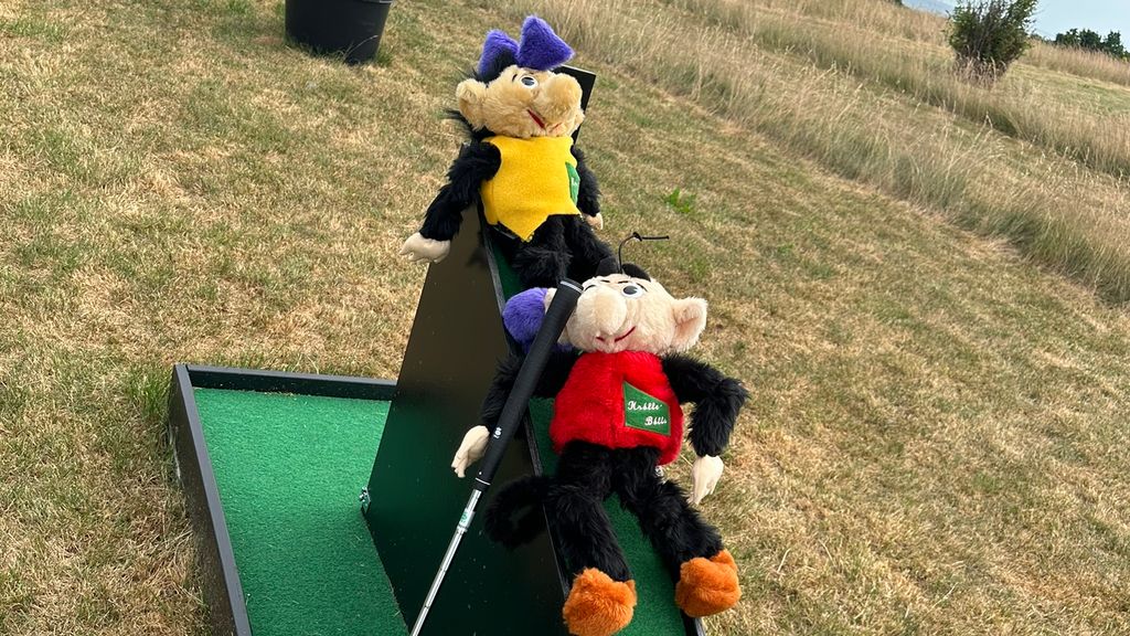 Minigolf og bamser