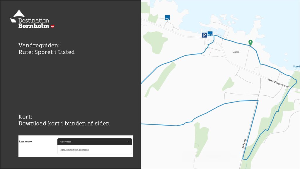 Rutebeskrivelse
