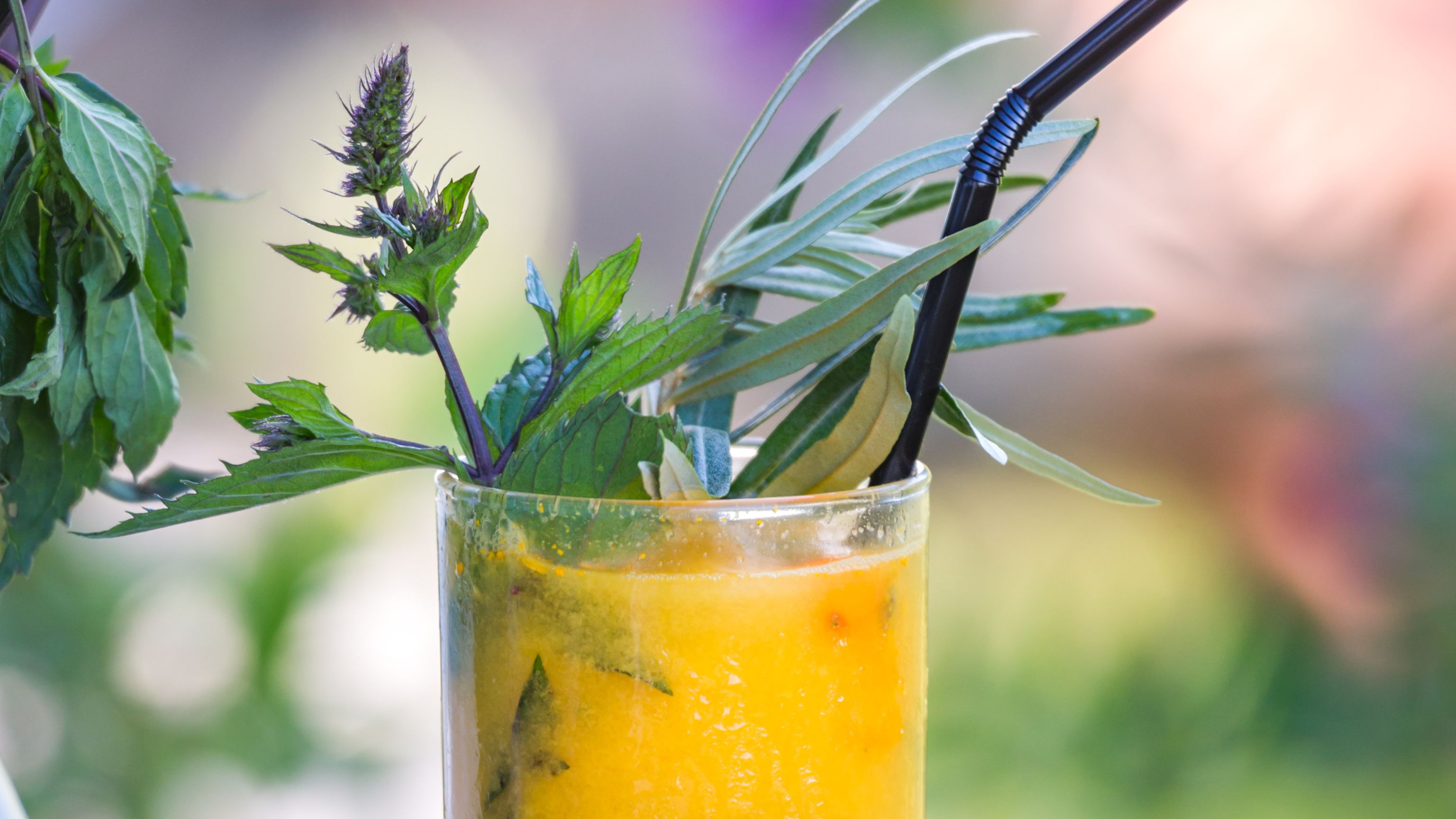 Bohato - den bornholmske mojito