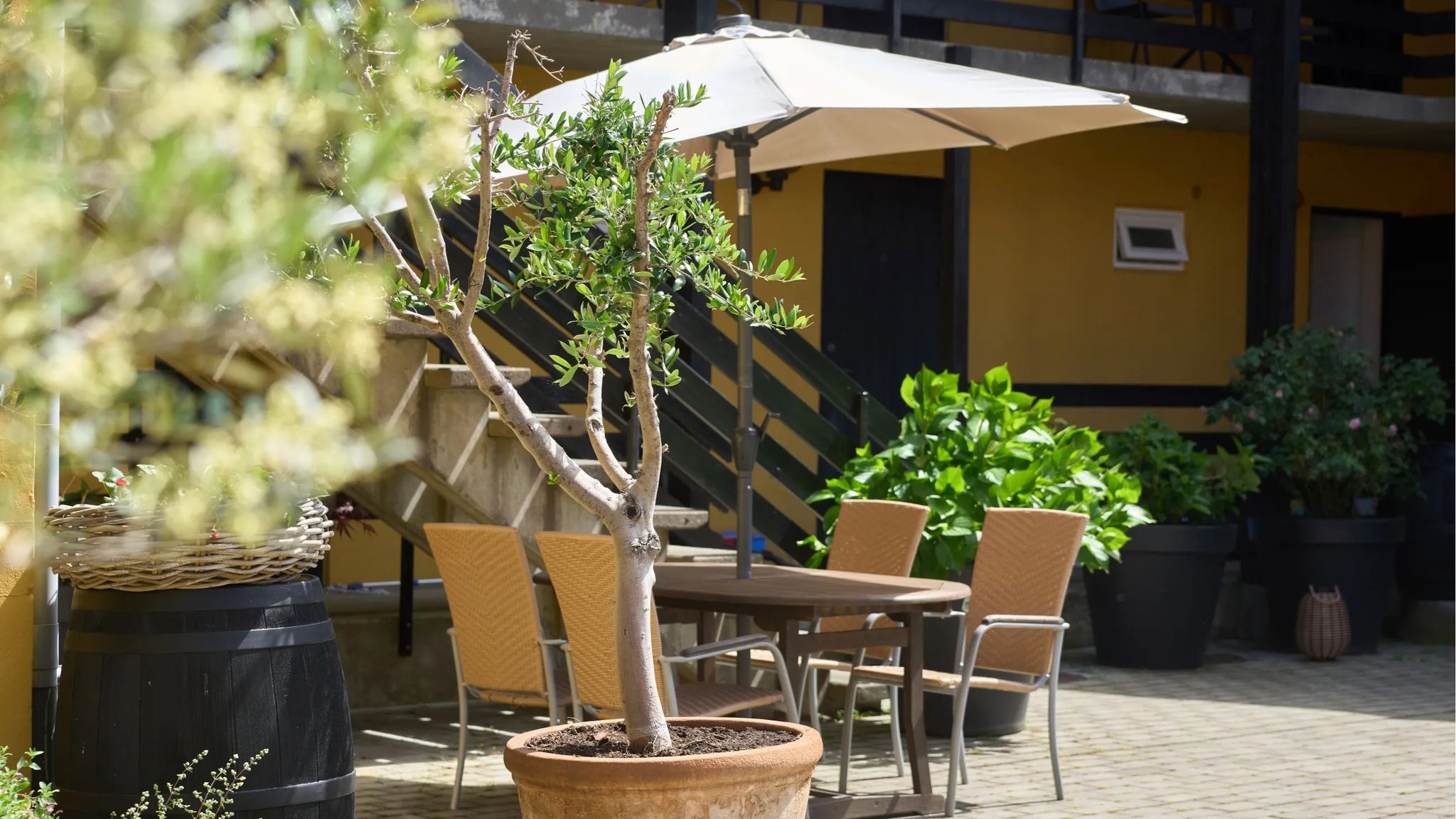 Hotel Villum