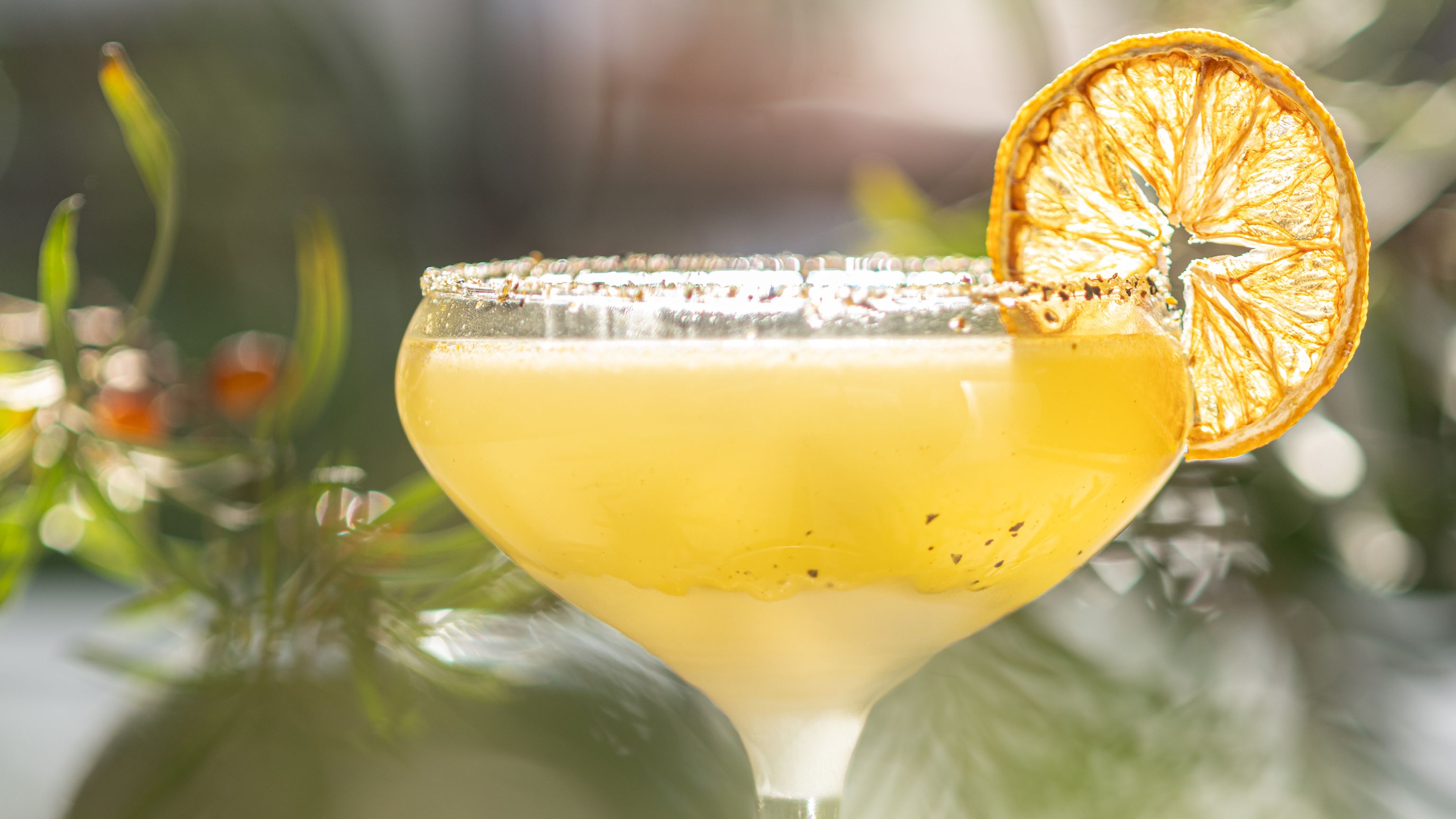 Havtorns Margarita