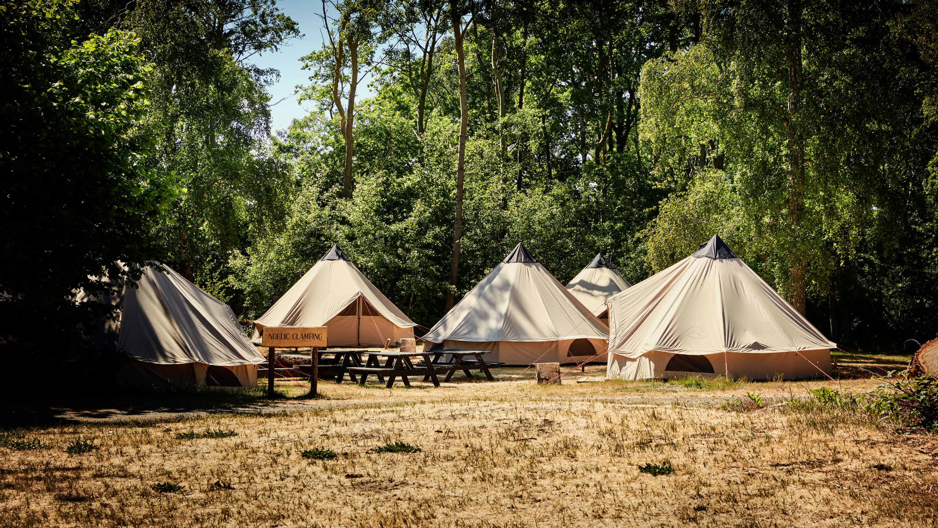 Nordskoven Strand Camping