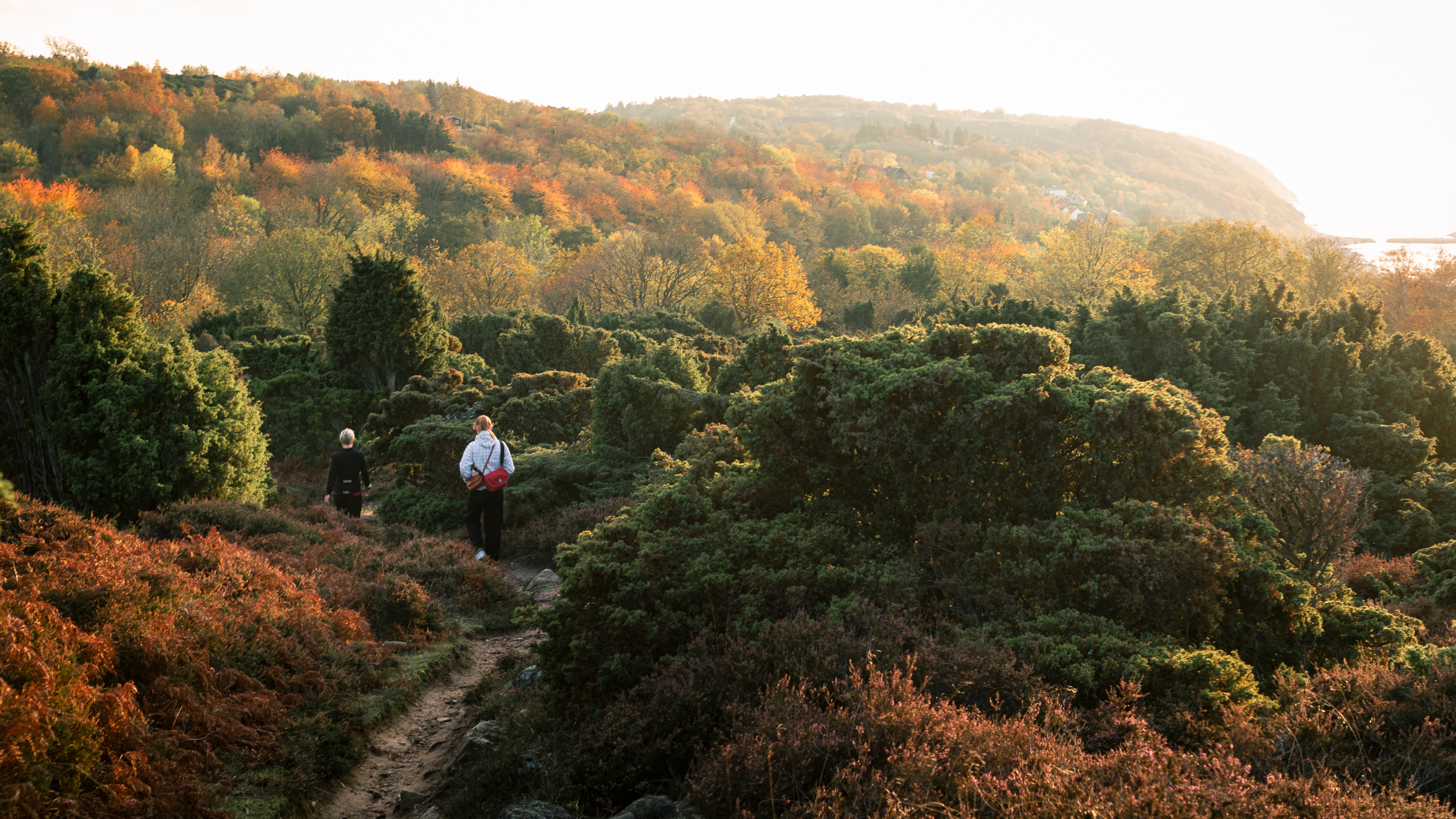 Wandern im Herbst