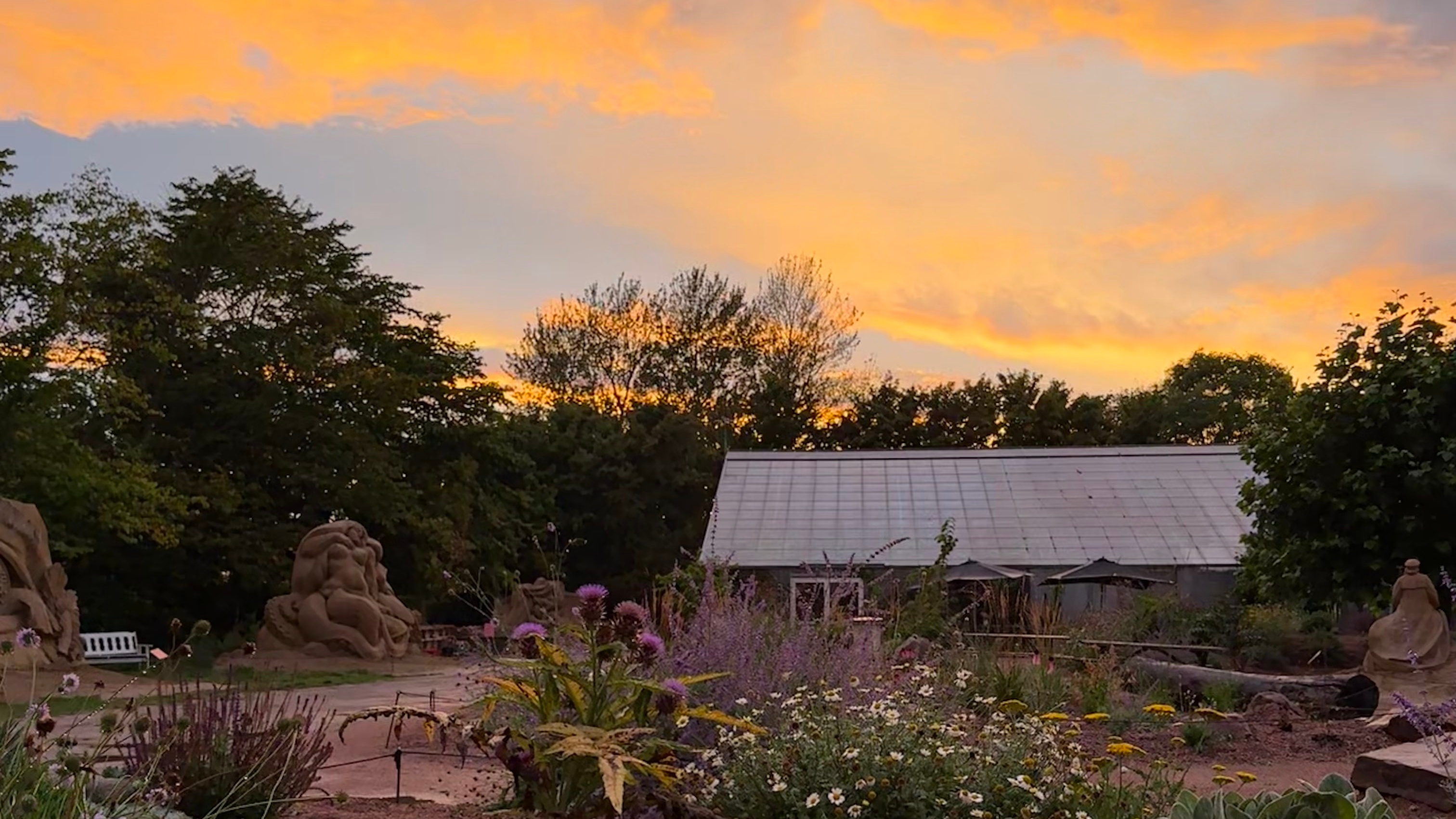 Abendhimmel überm Garten