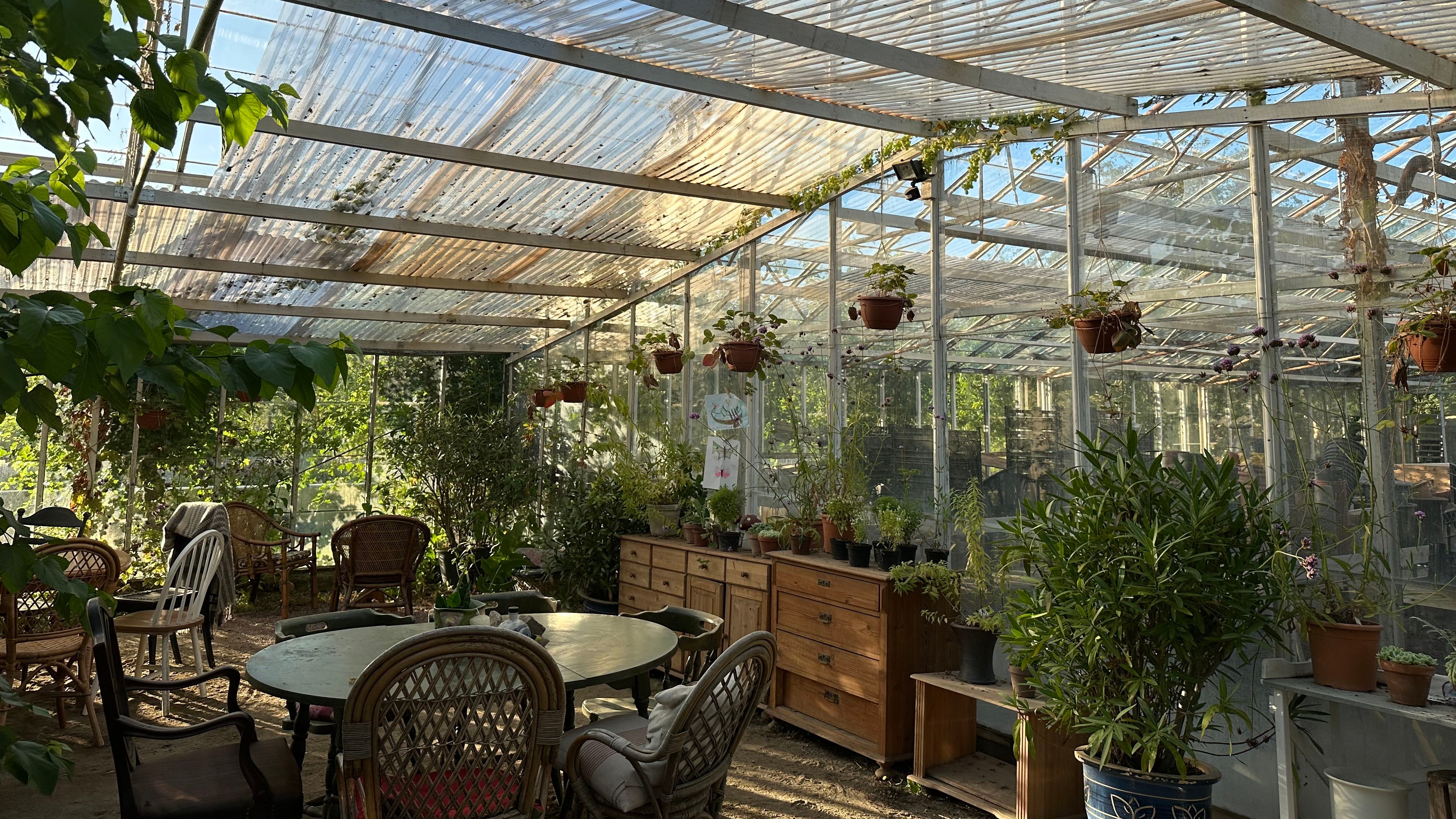 Sonniges Gewächshaus