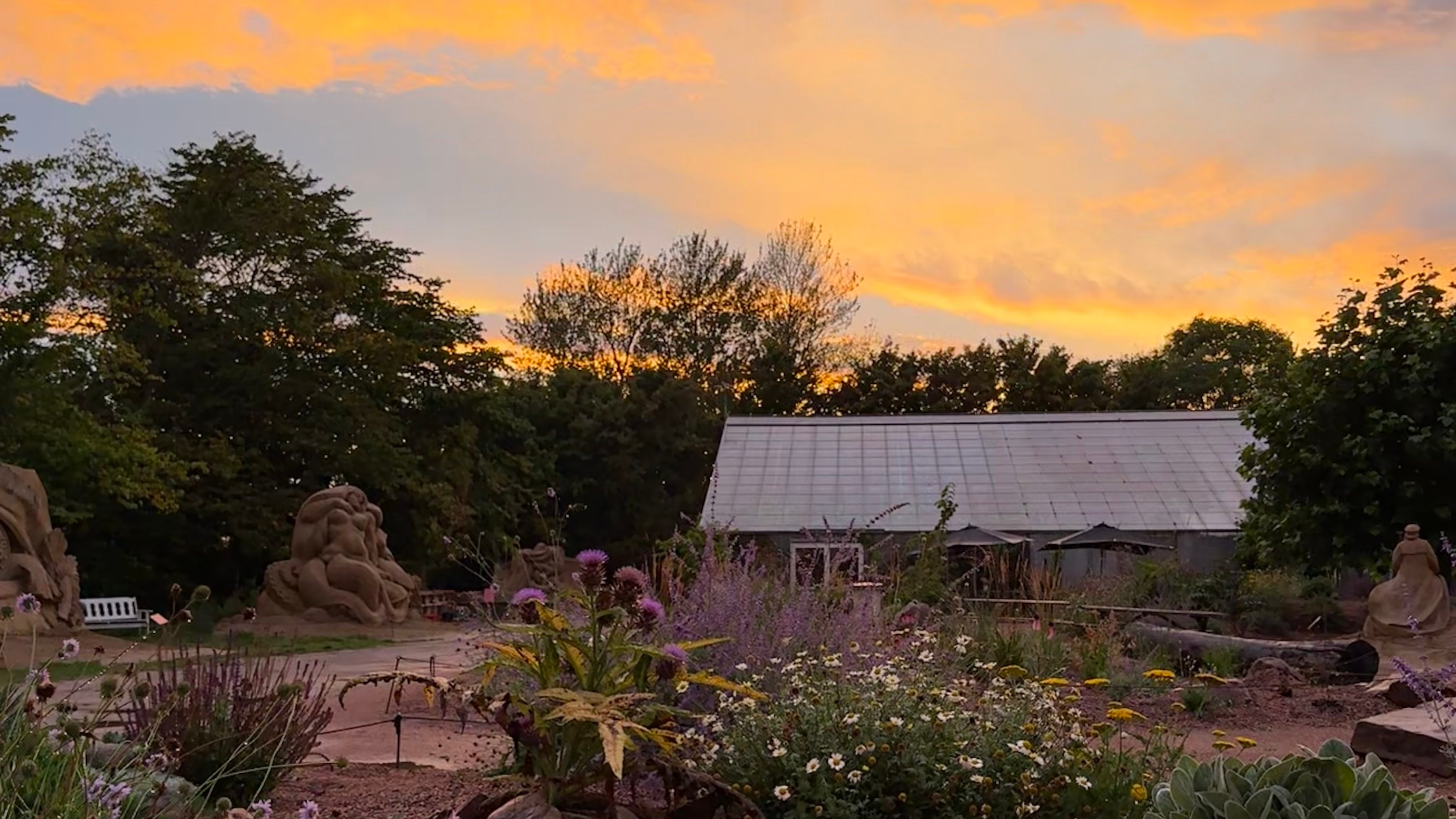 Abendhimmel überm Garten