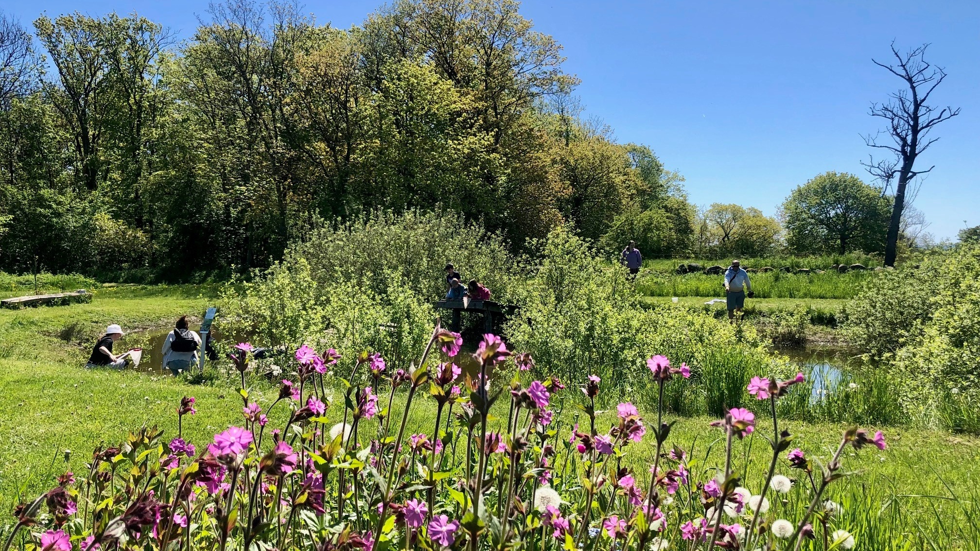 NaturBornholm
