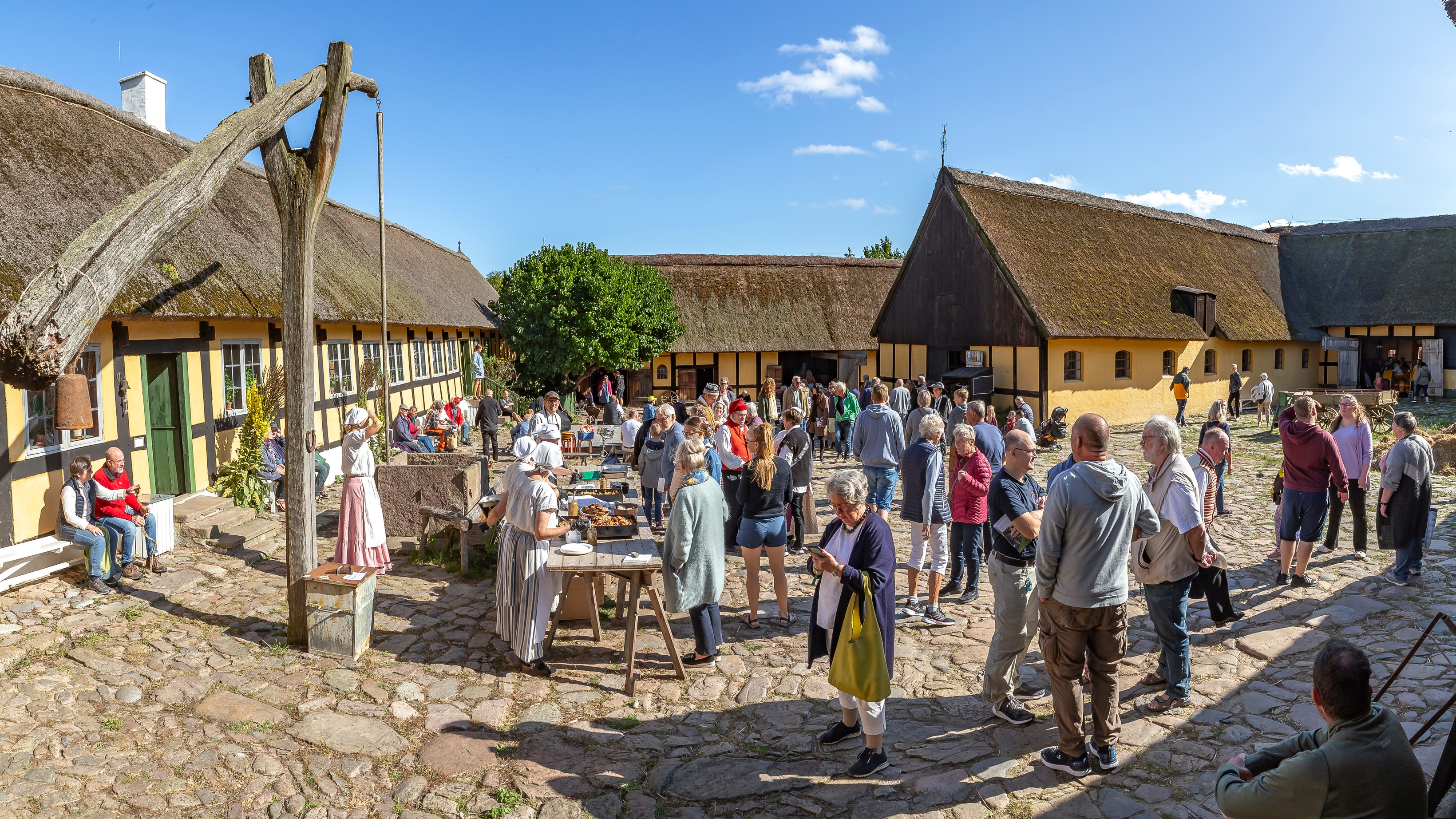 Life in the old courtyard