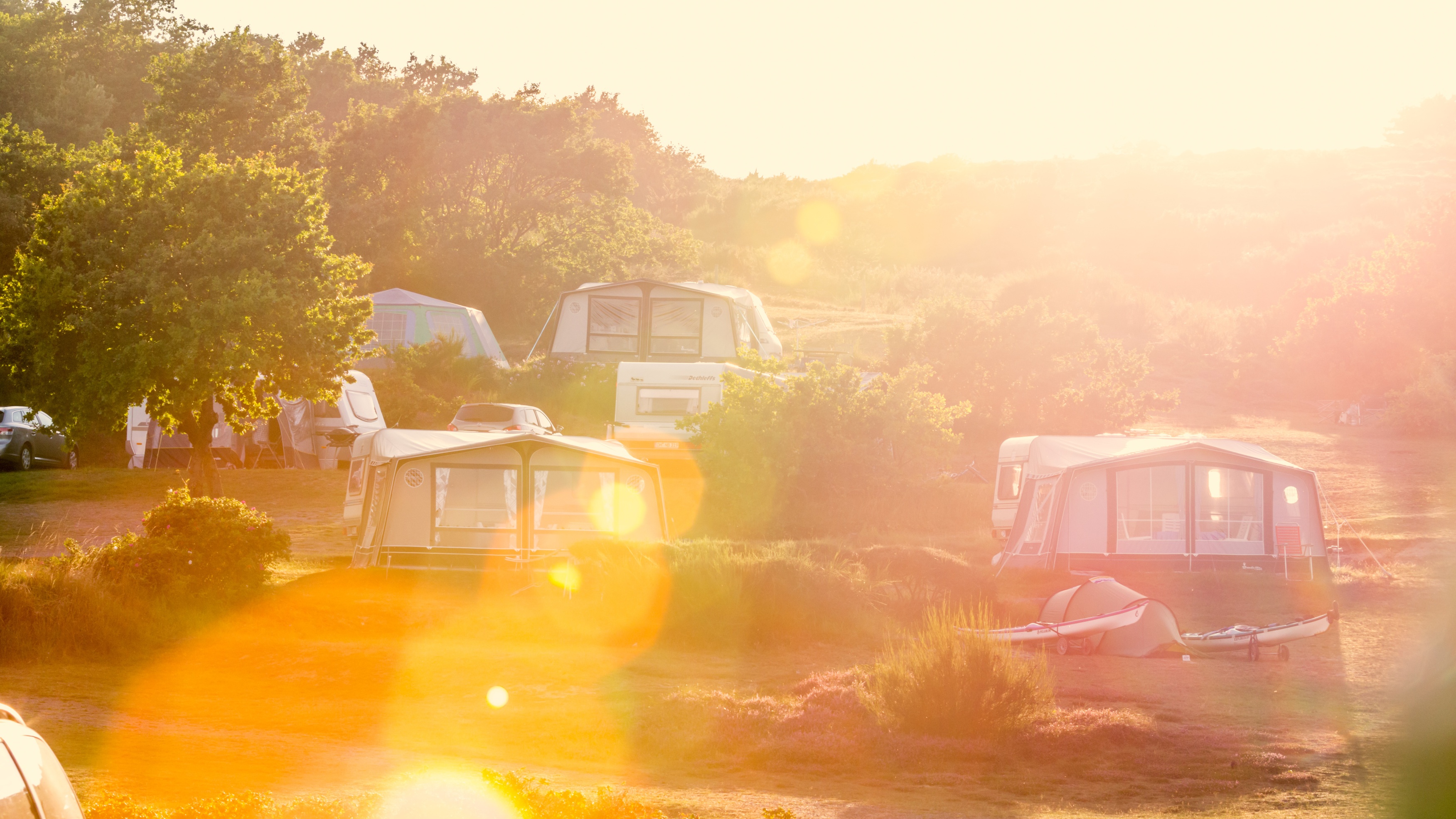 Camping in golden light