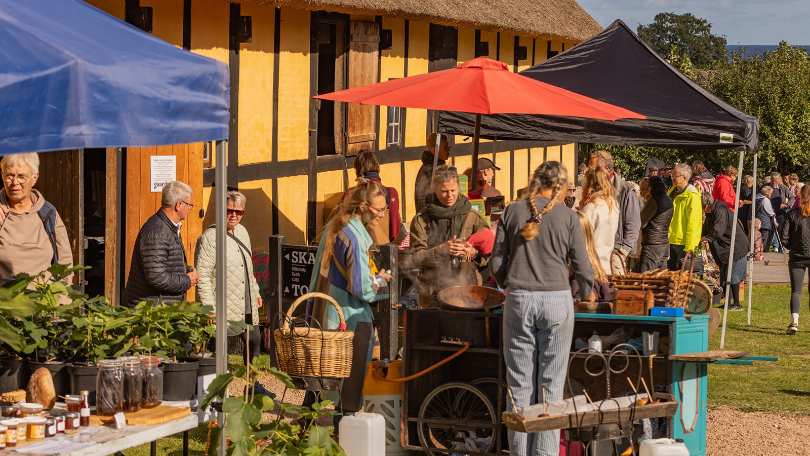 I løbet af sommeren er der torvedage på Melstedgård