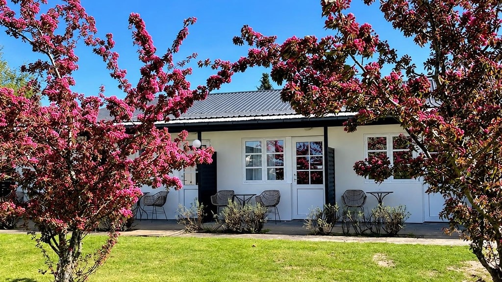Blomme's Place i blomst