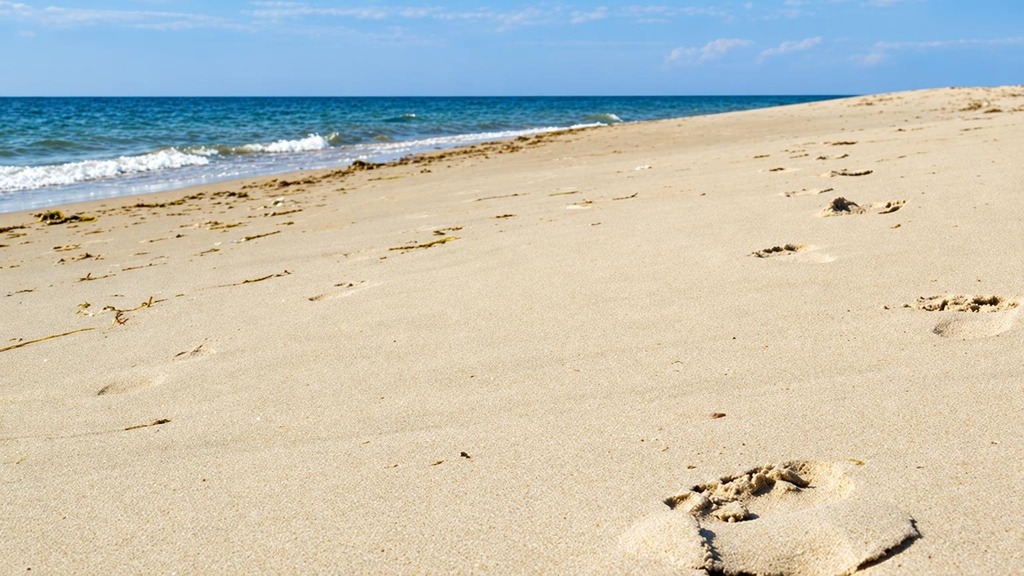 Melsted strand