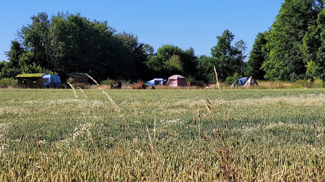 Ekkodalens Naturcamping
