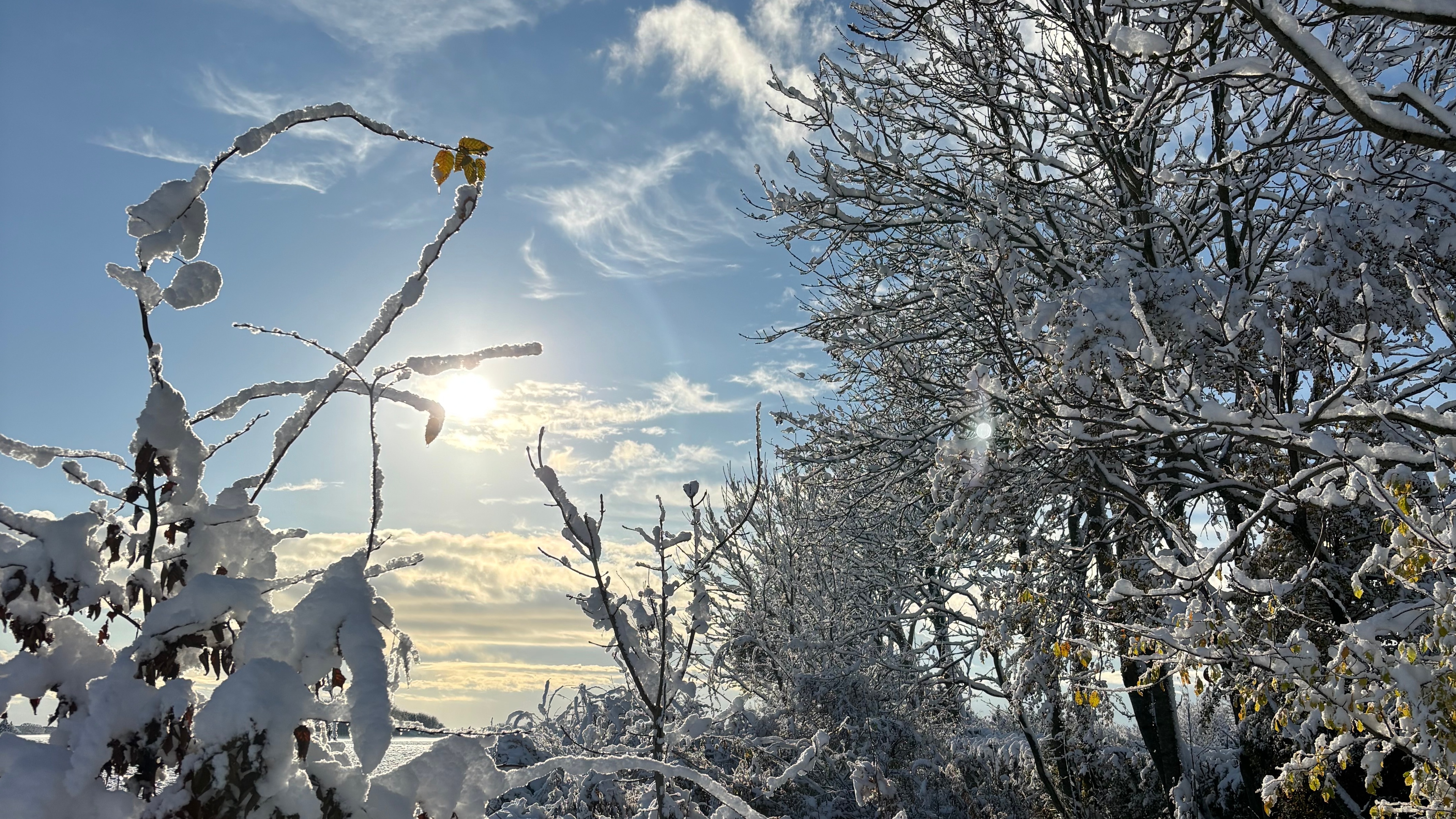 Myregaard Bed & Breakfast - Holiday Apartments