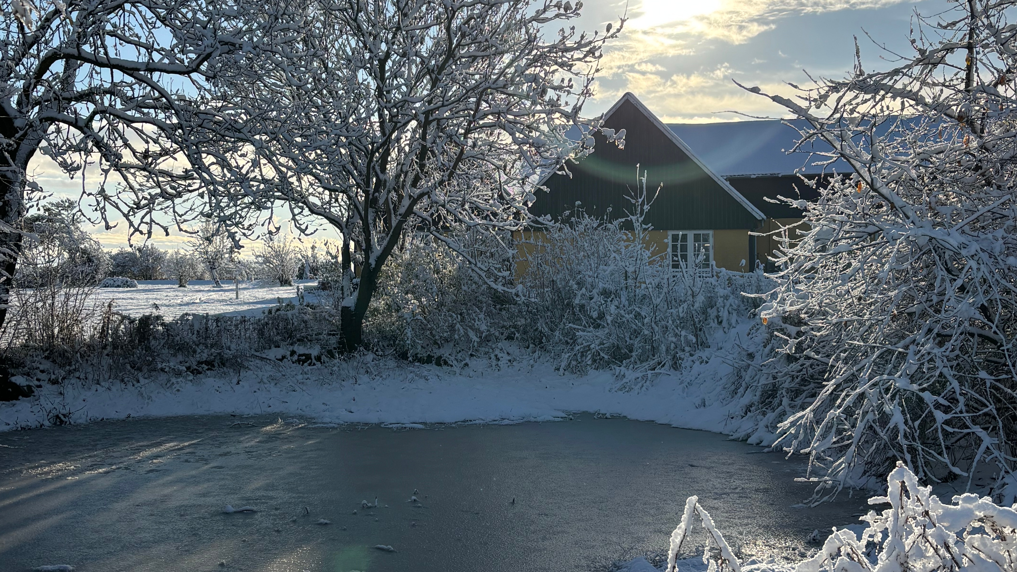 Myregaard Bed & Breakfast - Holiday Apartments