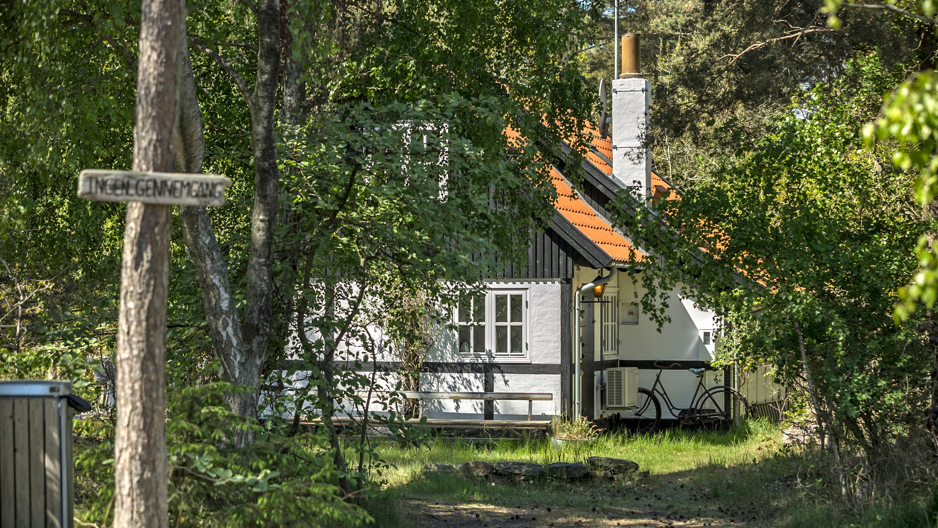 House surrounded by trees