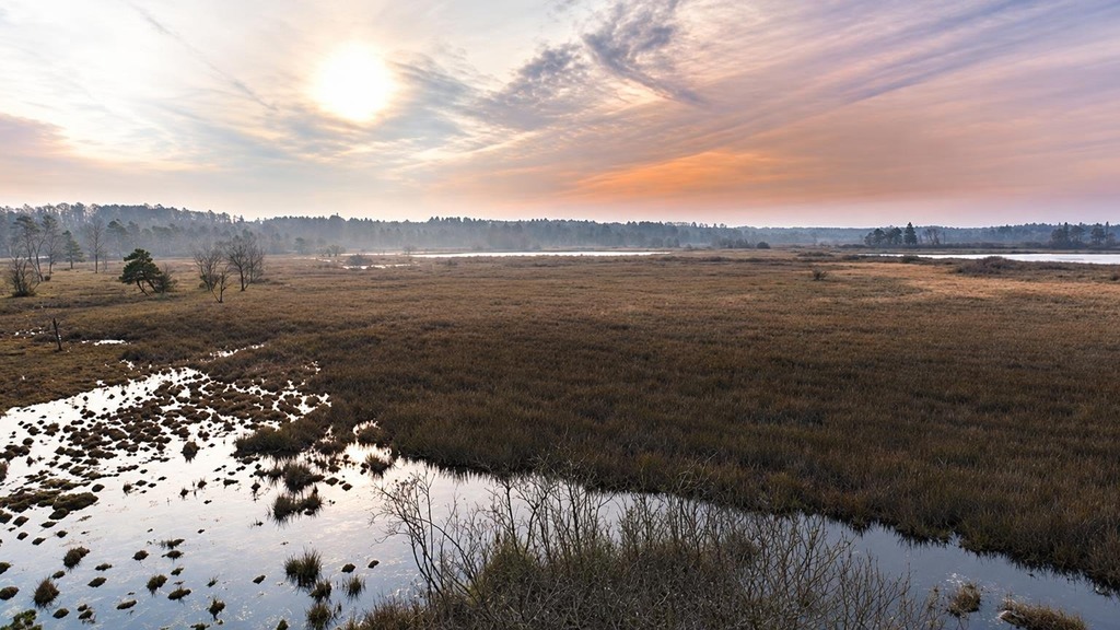 Ølene Wildlife Reserve