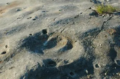 NaturBornholm
