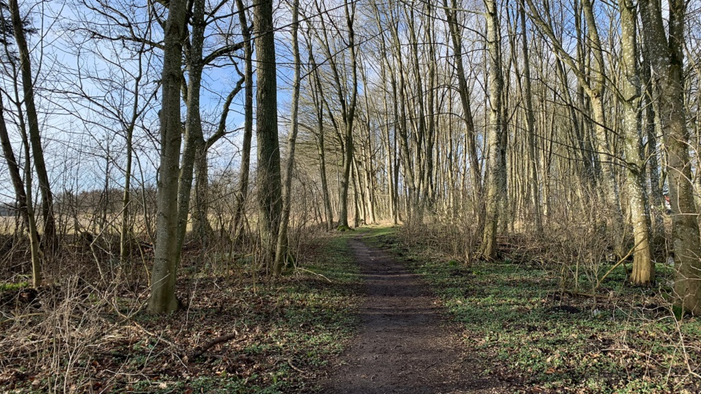 Wandern: Grevens Sti - 0,9 km