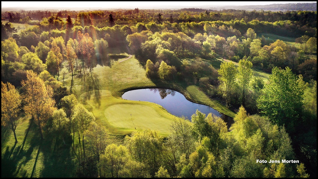 Aalborg Golf | Bellis