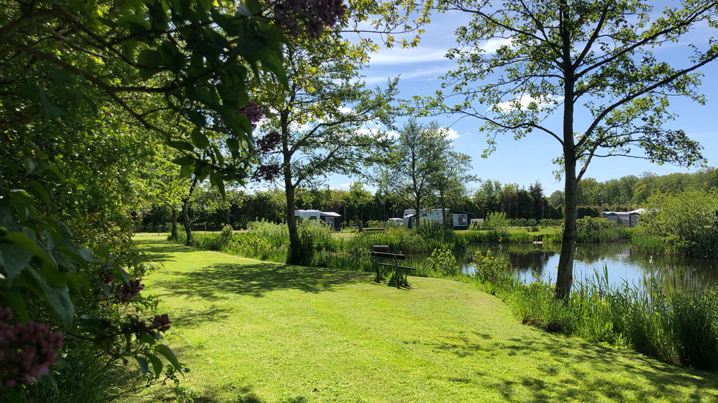 Asaa Camping & Cottages