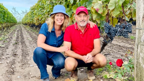 Gitte og Jan Lunde i deres vinmarker