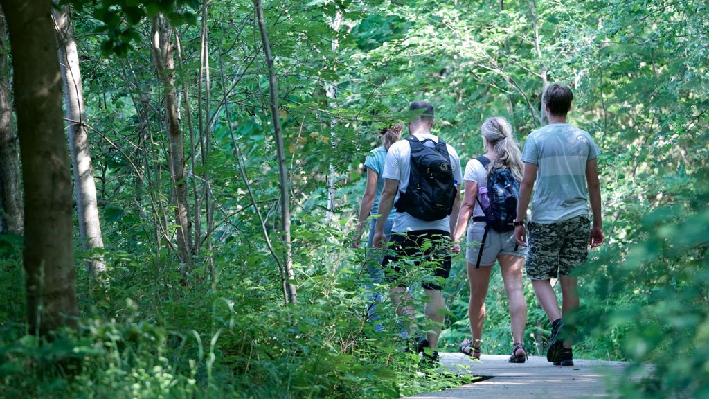 Hike Along Alling Vest Fredningen