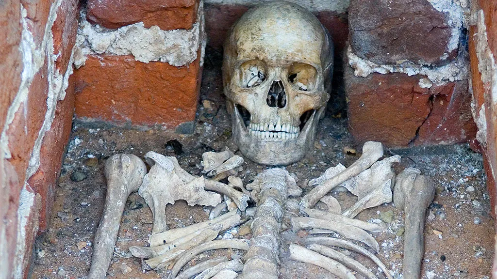 Skelet i grav på Øm Kloster Museum