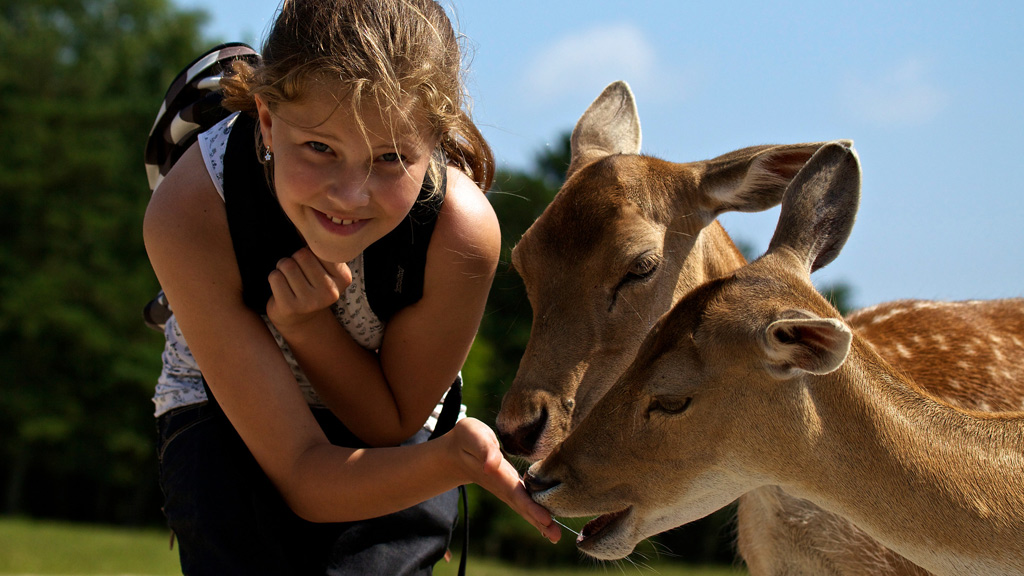 Overnight stay in a Lavvu at Scandinavian Wildlife Park