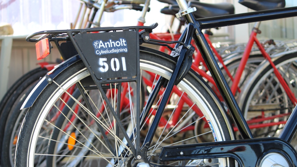 Anholt Bike Rental