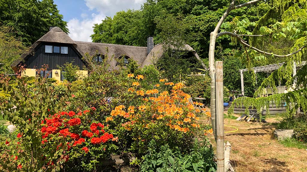 Koruplund Weinberg und B&B