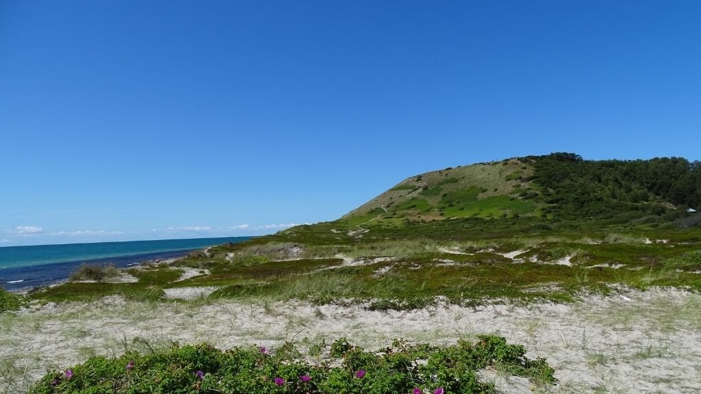 Sønderbjerg beach