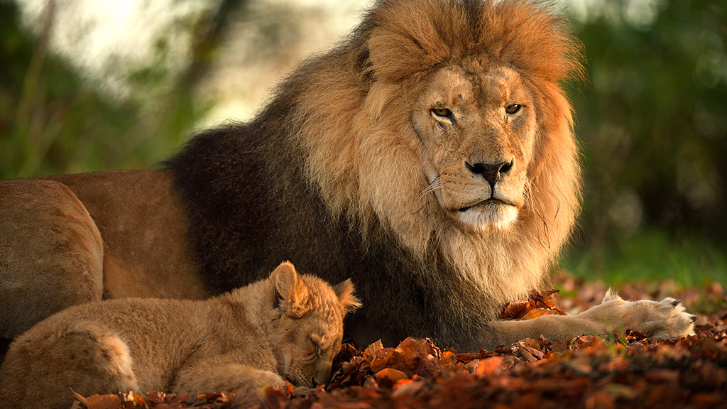 Autumn in the Aarhus Region