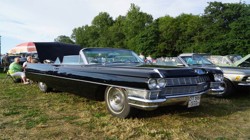 Veteranbiltræf ved Kalø Slotsruin