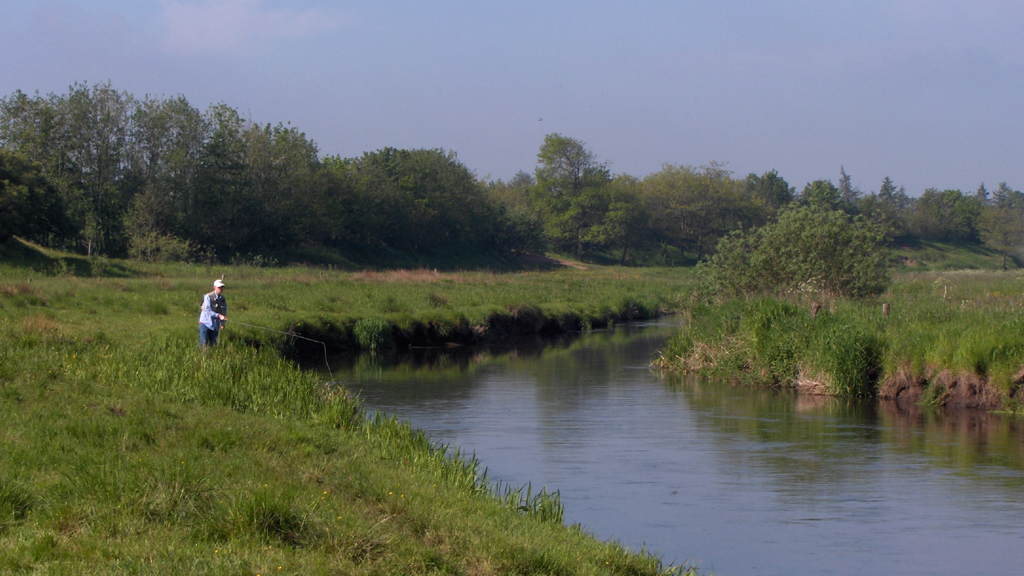 Fiskekort til åerne ved Esbjerg