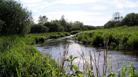Fiskevand i Sydvestjylland