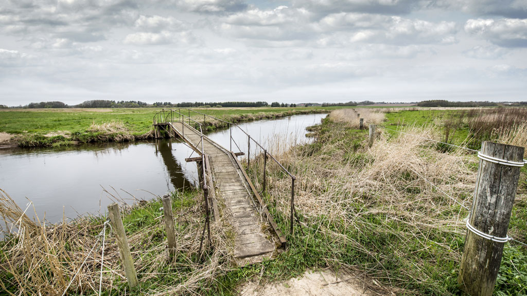 Brücke bei Kongeåen
