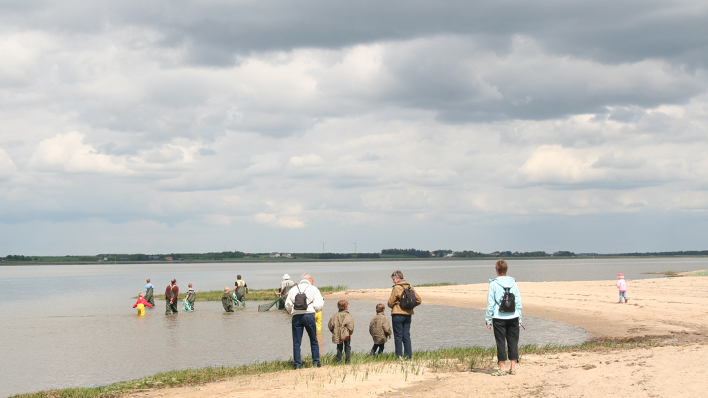 Nationalparktag / Marbæktag in Esbjerg