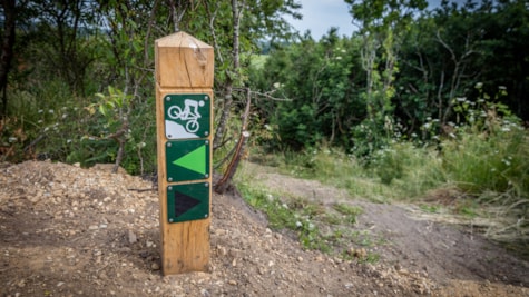 Mentor IT Bikepark - mountainbike spor i Esbjerg