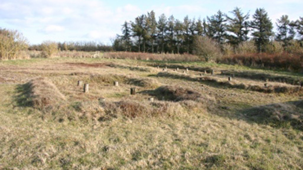 Sjelborg Siedlung in Esbjerg