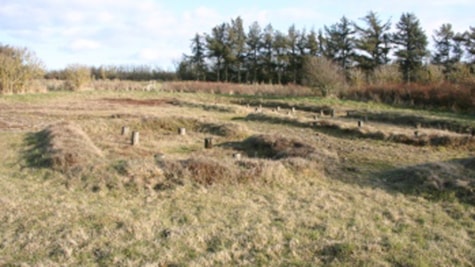 Jernaldertomterne i Sjelborg Plantage - Esbjerg