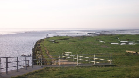 Sneum Digesø nær Esbjerg - fuglelokalitet