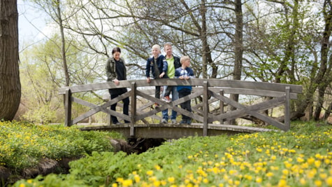 Vognsbølparken - rekreativt parkanlæg i Esbjerg