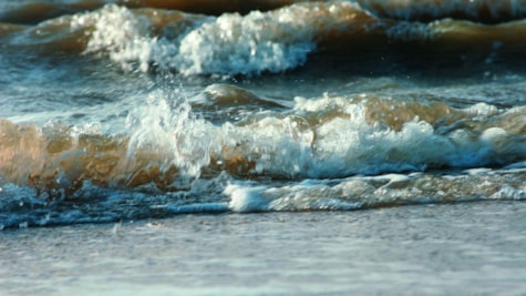 Foam spray in the Wadden Sea on Fanø