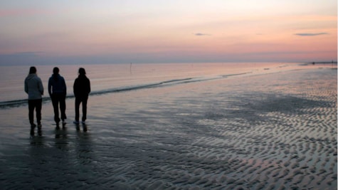 Social moments by the Wadden Sea on Fanø