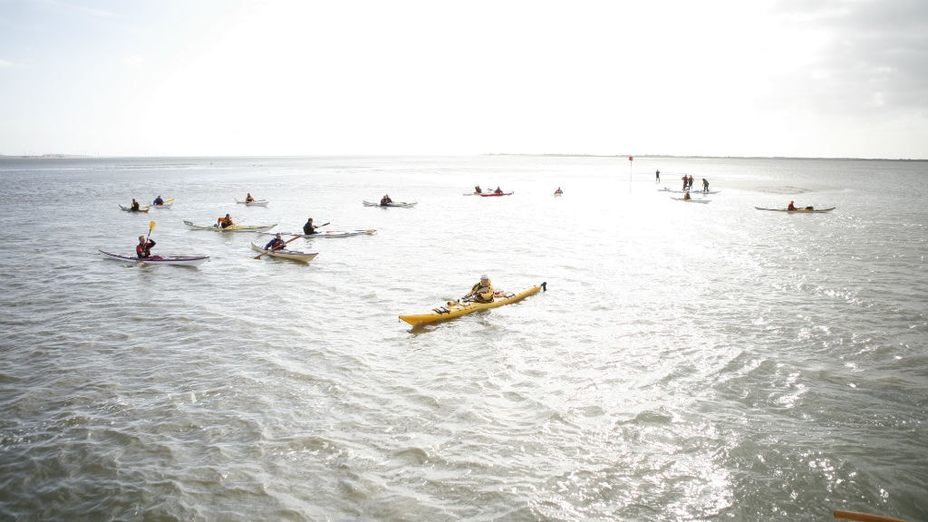 Community in kayak on Fanø