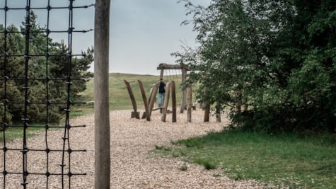 Forest playground | The Wadden Sea coast