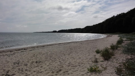 Flansbæk Strand