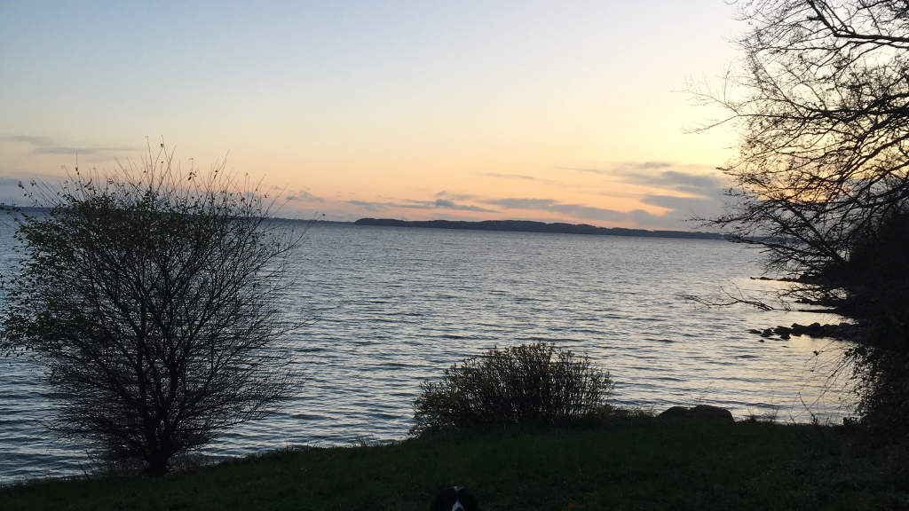 Vielse ved skov og strand